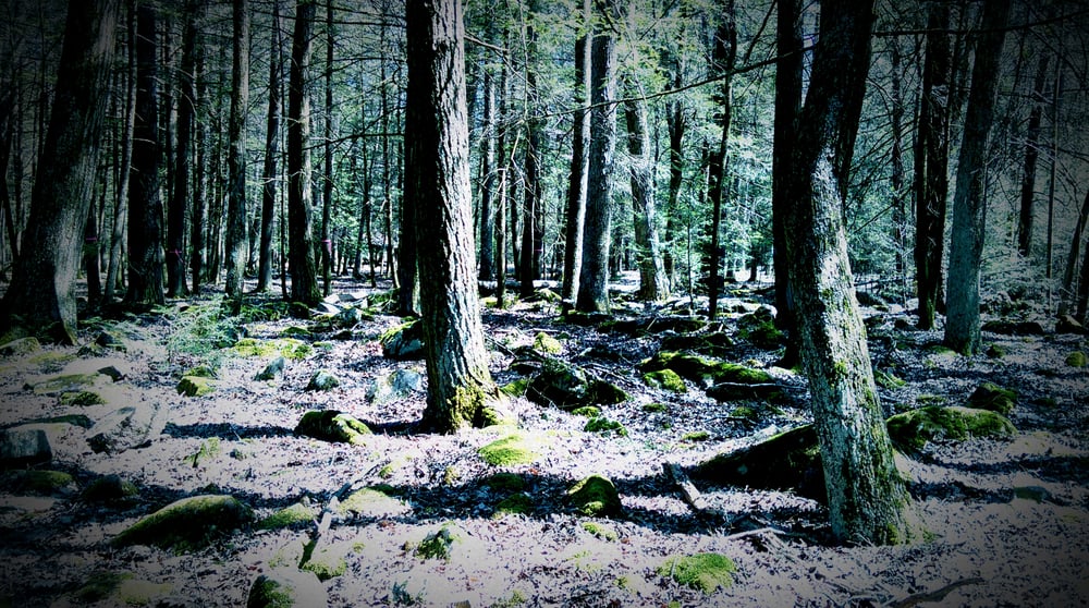 REEDS GAP STATE PARK Updated September 2024 16 Photos 1405 New