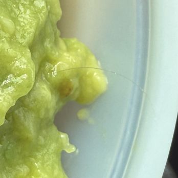 Los Bagels - hair in guac - Bakeries Near Me - Eureka, California