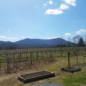 Mountain View Vineyard - a view of the mountains - Wineries Near Me - Strasburg, Virginia