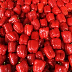 Bedner's Farm Fresh Market
