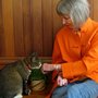 Photo of Good Mother Pet Tending