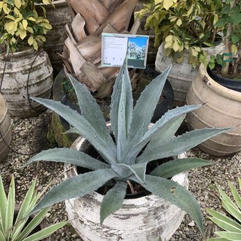 Johns Nursery 210 - Nurseries & Gardening Near Me - Saint Johns, Florida Johns Nursery 210 - Nurseries & Gardening Near Me - Saint Johns, Florida