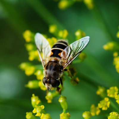 SELECT EXTERMINATING - Updated March 2026 - 59 Photos & 33 Reviews ...