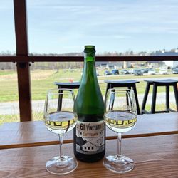 61 Vineyard - Drytown (sparking white)