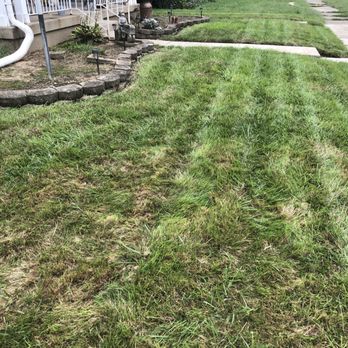 TruGreen Lawn Care - Tree Services Near Me - Fairfield, Ohio TruGreen Lawn Care - Tree Services Near Me - Fairfield, Ohio