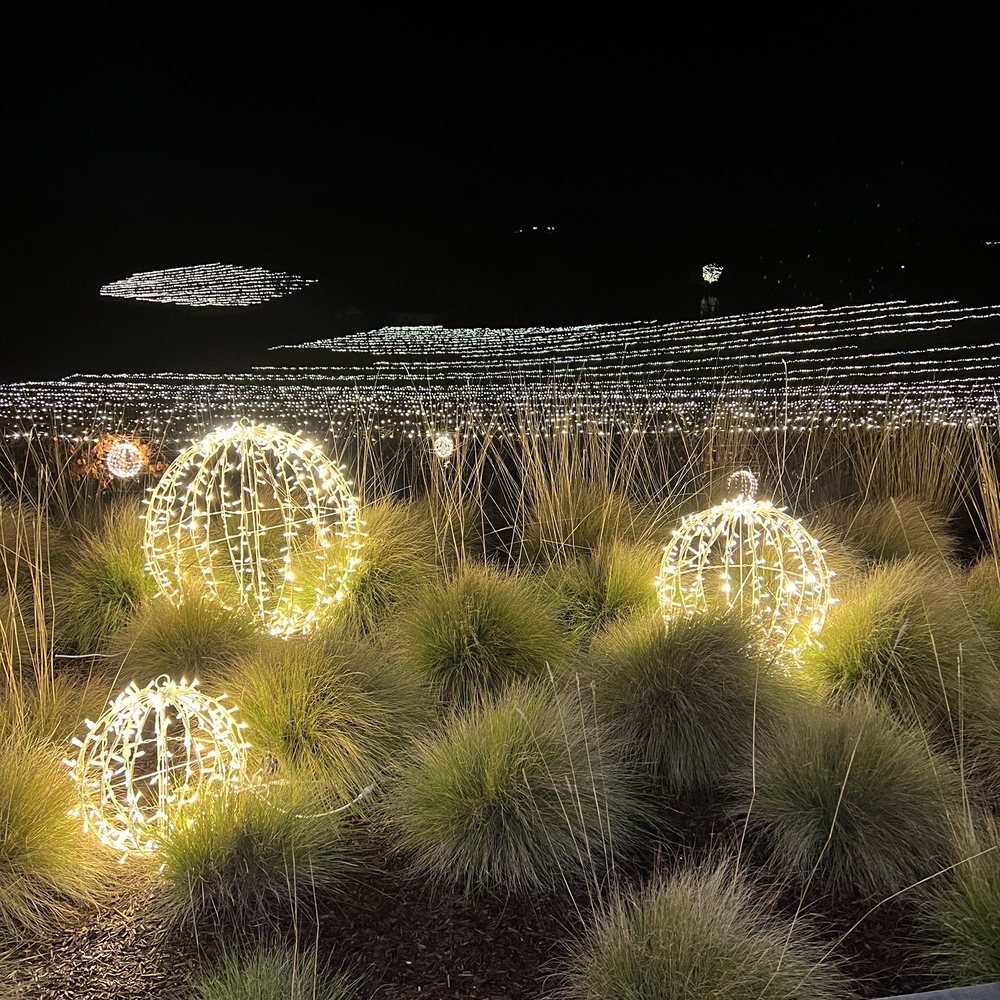 Cuvaison - Bright Nights - Wineries Near Me - Napa, California
