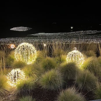 Cuvaison - Bright Nights - Wineries Near Me - Napa, California