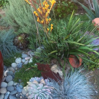 Plantplay Gardens - Nurseries & Gardening Near Me - Oceanside, California Plantplay Gardens - Nurseries & Gardening Near Me - Oceanside, California