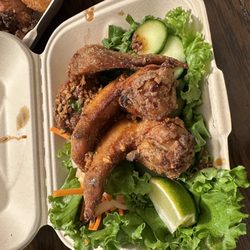 Fyre Wings