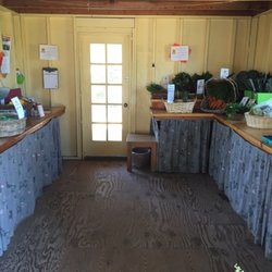 Growing Grounds Farm - The veggie section