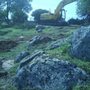 Photo of Alpine Earthmoving