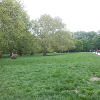 Hundezone Prater - Pets Near Me - Vienna, 9