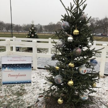 National Christmas Tree - Pa tree - Local Flavor Near Me - Washington, DC, District of Columbia National Christmas Tree - Pa tree - Local Flavor Near Me - Washington, DC, District of Columbia