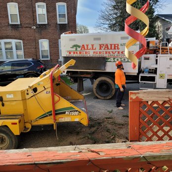 Ewing Tree Service - Tree Services Near Me - Ewing, New Jersey