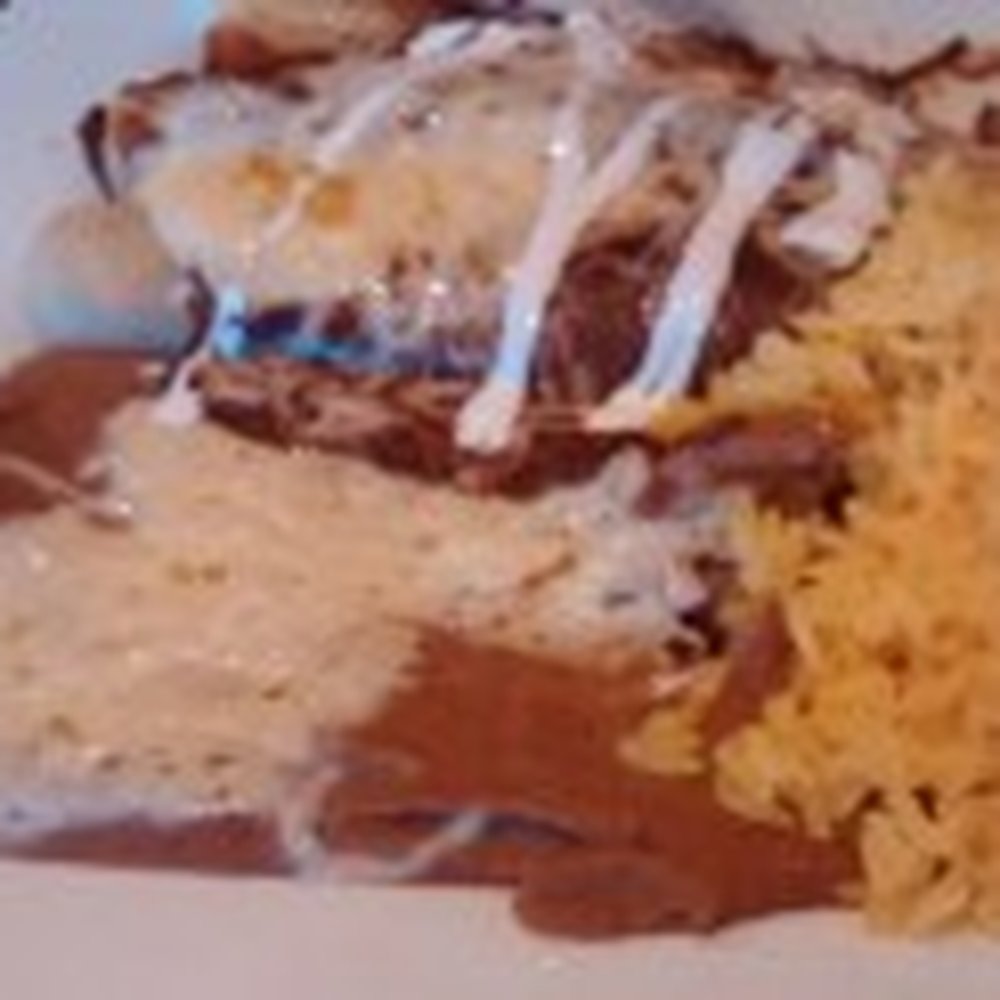 Agave - Enchilada with Mole. - Mexican Near Me - Newburyport, Massachusetts