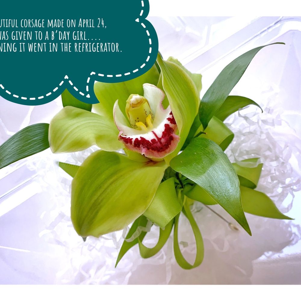 Toyo Griffith Park Florist - Made April 24, 2021 - Florists Near Me - Los Angeles, California Toyo Griffith Park Florist - Made April 24, 2021 - Florists Near Me - Los Angeles, California
