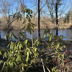 McCarter Memorial Park