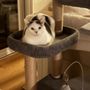 Photo of Lamorinda Cat Care