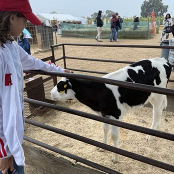 Keema's Pumpkin Farm - CSA Near Me - Elk Grove, California