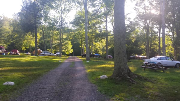 Lake Waramaug State Park Campground by null