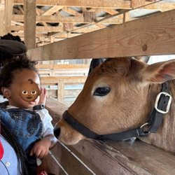 Children's Farm