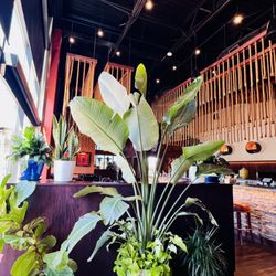 El Sarape Mexican Restaurant