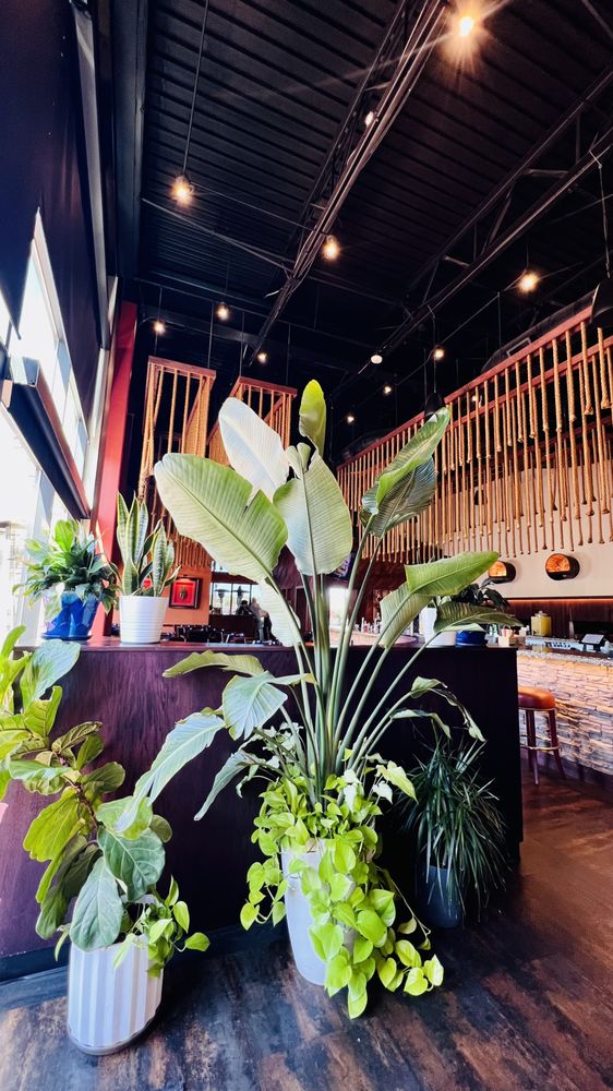 El Sarape Mexican Restaurant