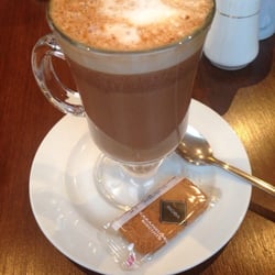 Olive Tree - My mocha
