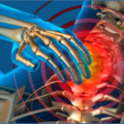 Foster Chiropractic