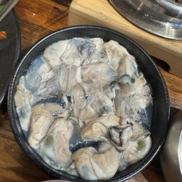 Oyster Oyster