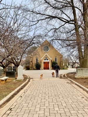 Congressional Cemetery by null