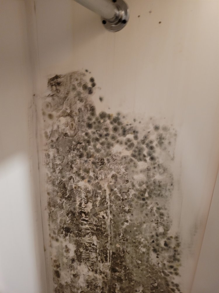 Slide of Whac A Mold