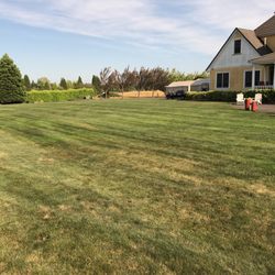 Heathen Estate - Back lawn.