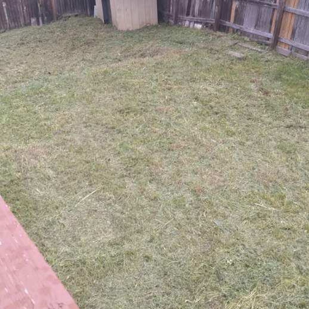 Leaves Landscaping - Yard - Landscaping Near Me Leaves Landscaping - Yard - Landscaping Near Me