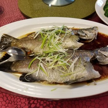 Mon Sheong Court - Mon Sheong Foundation - Steamed fish. - Assisted Living Facilities Near Me - Markham, Ontario Mon Sheong Court - Mon Sheong Foundation - Steamed fish. - Assisted Living Facilities Near Me - Markham, Ontario