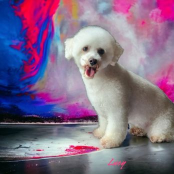 Flatwallet Farm Grooming and Boarding - Pet Groomers Near Me Flatwallet Farm Grooming and Boarding - Pet Groomers Near Me