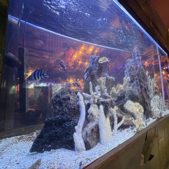 Paco's Tacos - Fish tank - Mexican Near Me - Los Angeles, California Paco's Tacos - Fish tank - Mexican Near Me - Los Angeles, California