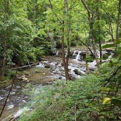 Red Jasper Beer Garden - River view