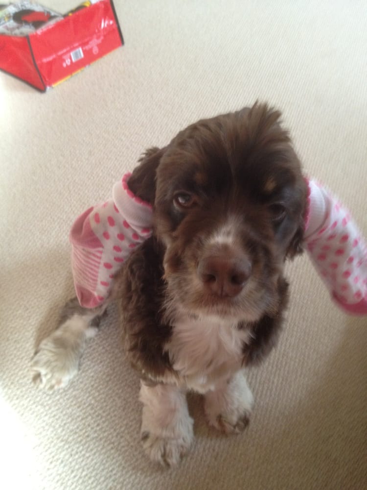 The Emperor Chinese Takeaway