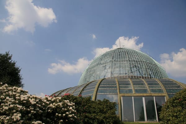 Royal Greenhouses of Laeken by null