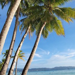 Le Soleil de Boracay Hotel