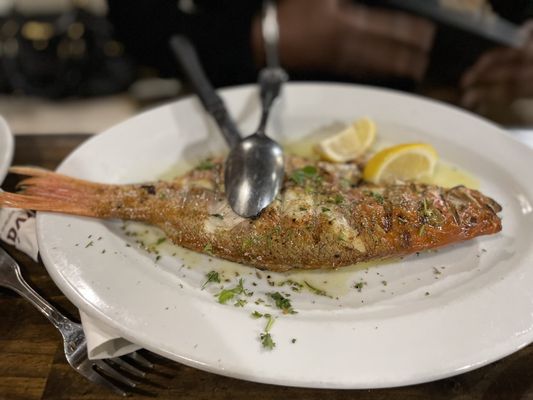 Agnanti by null Agnanti by null