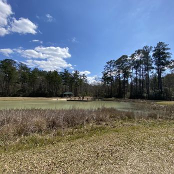 Lake Houston Wilderness Park - Parks Near Me - New Caney, Texas Lake Houston Wilderness Park - Parks Near Me - New Caney, Texas