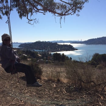Hippie Tree - Hiking Near Me - Tiburon, California