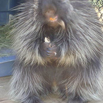 Wild Wonders - Zoos Near Me - Bonsall, California Wild Wonders - Zoos Near Me - Bonsall, California