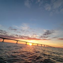 Salty Toad Fishing