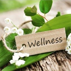 Longlife Wellness Spa