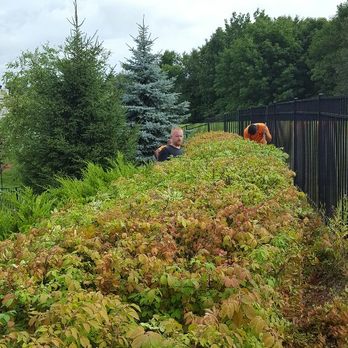 H N Tree Care - Tree Services Near Me - Landing, New Jersey