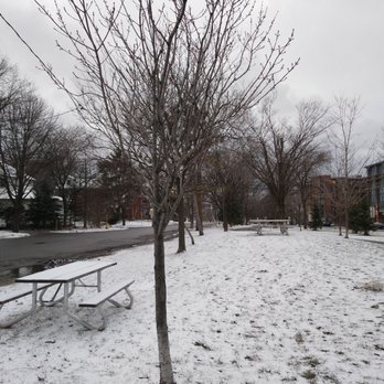 Byron Linear Tramway Park - In the winter, a light dusting of snow. - Parks Near Me - Ottawa, Ontario