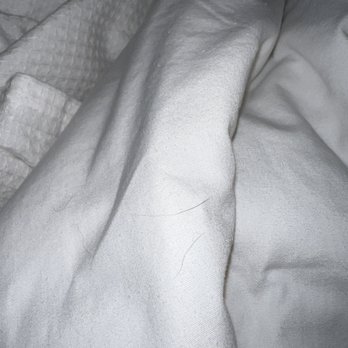 Hyatt House San Ramon - Hair in the bed sheets - Hotels Near Me - San Ramon, California